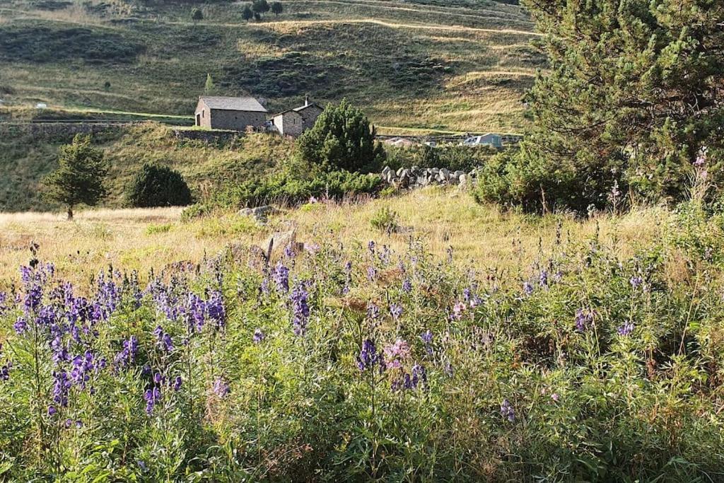 Acollidor Estudi Amb Encant Nordic I Amb Parquing, Al Costat De Grandvalira Canillo Kültér fotó